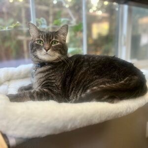 Meet your Posher, Chloe j